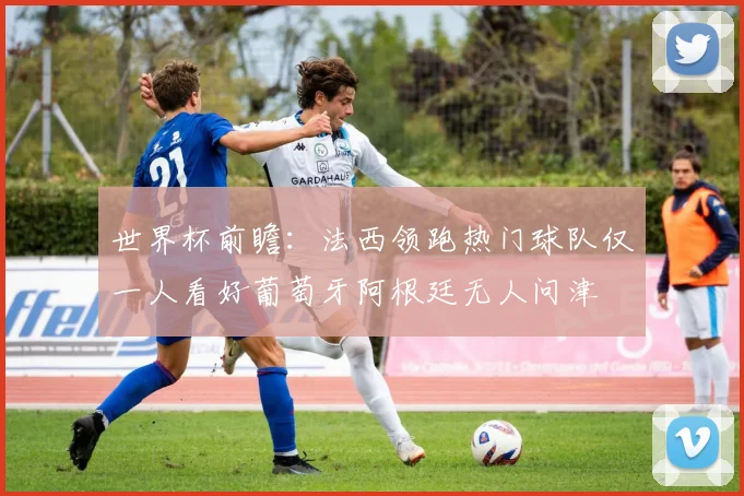 世界杯前瞻：法西领跑热门球队仅一人看好葡萄牙阿根廷无人问津